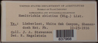 Image Associated With the Occurence